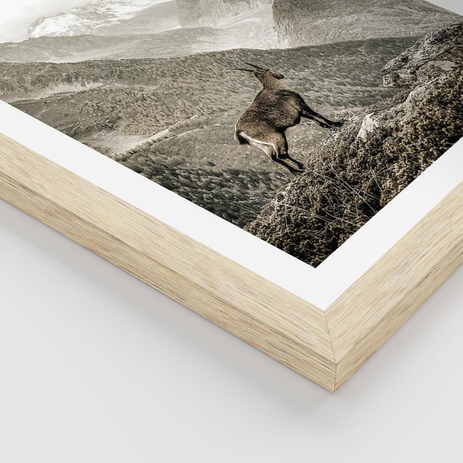 Plakat w ramie 30x40 - Dzikie Piękno: Kozica w Malowniczym Górskim Scenerii - kozica, góry - rama drewno