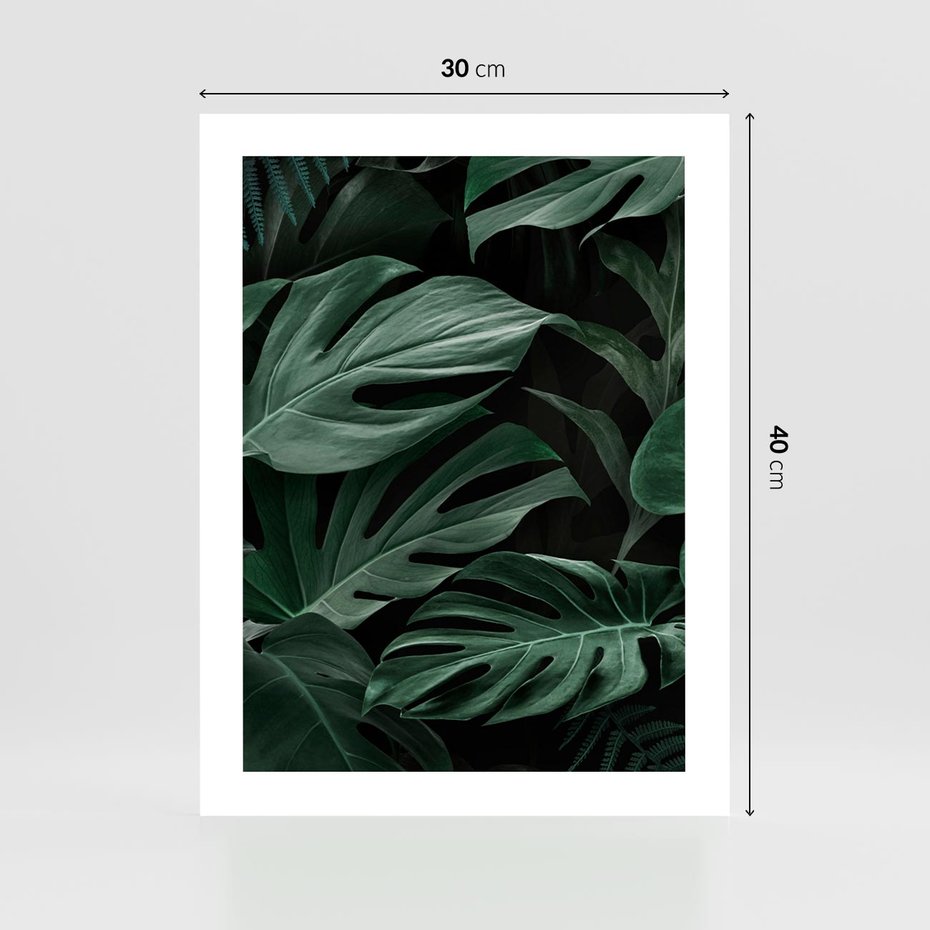 Plakat bez ramy 30x40 - Zielone Liście Monstery w Dżungli - zielone liście monstery, dżungla