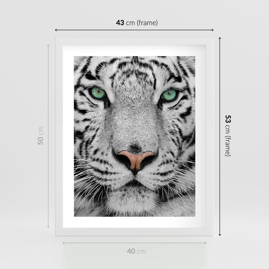 Plakat w ramie 40x50 - Magia Białego Tygrysa - biały, tygrys - rama biała