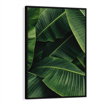 Obraz w ramie 70x100 - Zaklęta roślinna ekspresja - liście bananowca, gęsto ułożone - rama czarna
