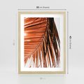 Plakat w ramie 30x40 - Słońce na Palmie - palma, promienie słońca - rama drewno