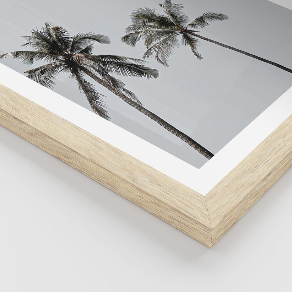 Plakat w ramie 40x50 - Tropikalny Raj: Palmy i Niebo - palmy, niebo - rama drewno