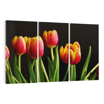 Obraz na płótnie 120x80 - Tulipany w przyrodzie: harmonia kształtów - tulipany, kiwaty