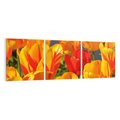Obraz na płótnie 120x40 - Kwiatowa Harmonia - kwiaty, kwiat