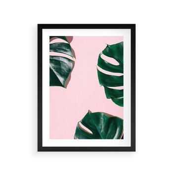 Plakat w ramie 50x70 - Siła Natury - liście, monstera - rama czarna