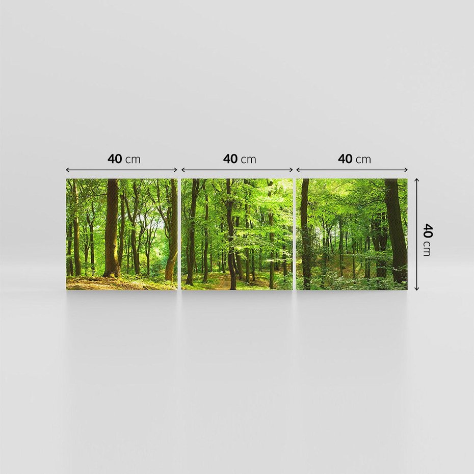 Obraz na płótnie 120x40 - Mistyka leśnych drzew - las, drzewa