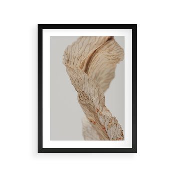 Plakat w ramie 30x40 - Suszone piękno - susz, suche - rama czarna