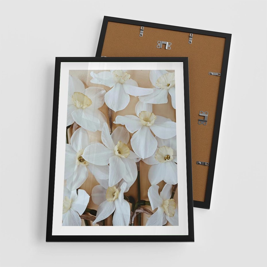 Plakat w ramie 50x70 - Białe Narcyzy - narcyzy, kwiaty - rama czarna