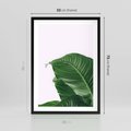 Plakat w ramie 50x70 - Zielone liście monstery - liście, monstera - rama czarna