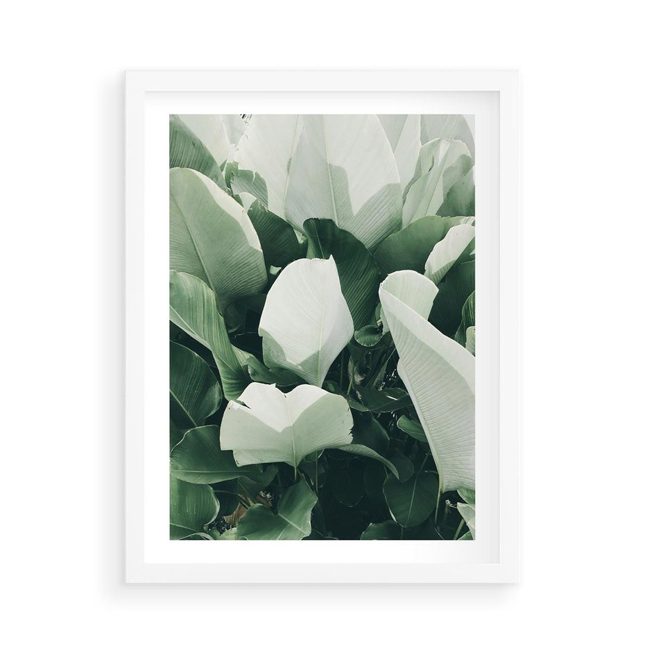 Plakat w ramie 50x70 - Zgaszona Uroda Natury - zielone liście, zgaszona zieleń - rama biała