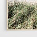 Obraz w ramie 50x50 - Harmonia Natury - widok z wydm, wydmy porośnięte trawami - rama drewno