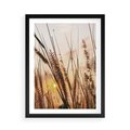 Plakat w ramie 50x70 - Malownicza Łąka z Trawam - trawy, łąka - rama czarna