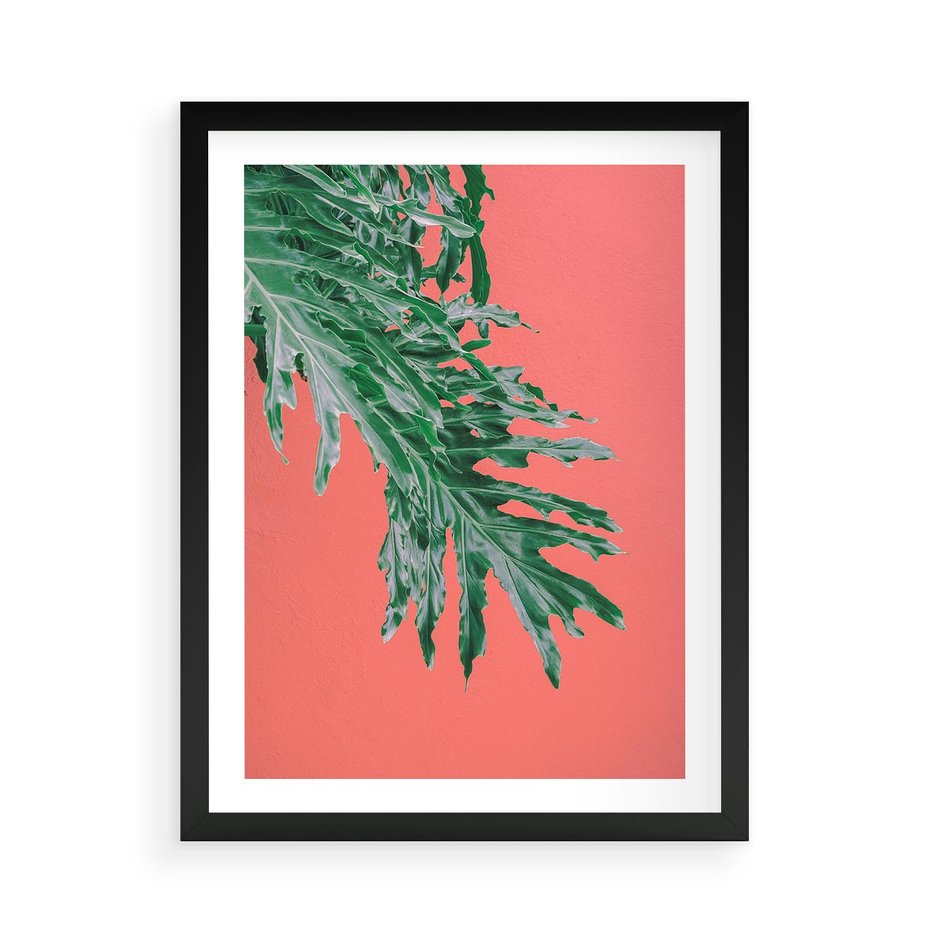 Plakat w ramie 50x70 - Energetyczna Eksplozja Natury - liście, kolor - rama czarna