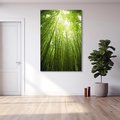 Obraz na płótnie 80x120 - Siła Natury - drzewa, las
