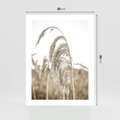 Plakat bez ramy 30x40 - Ujęcie Suchych Traw - suche trawy, zbliżenie