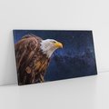 Obraz na płótnie 100x50 - Orzeł w niebieskiej przestrzeni - orzeł, ptak