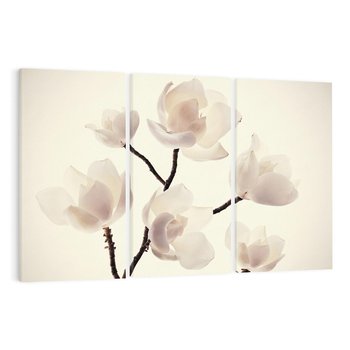 Obraz na płótnie 120x80 - Elegancja Natury - magnolia, białe