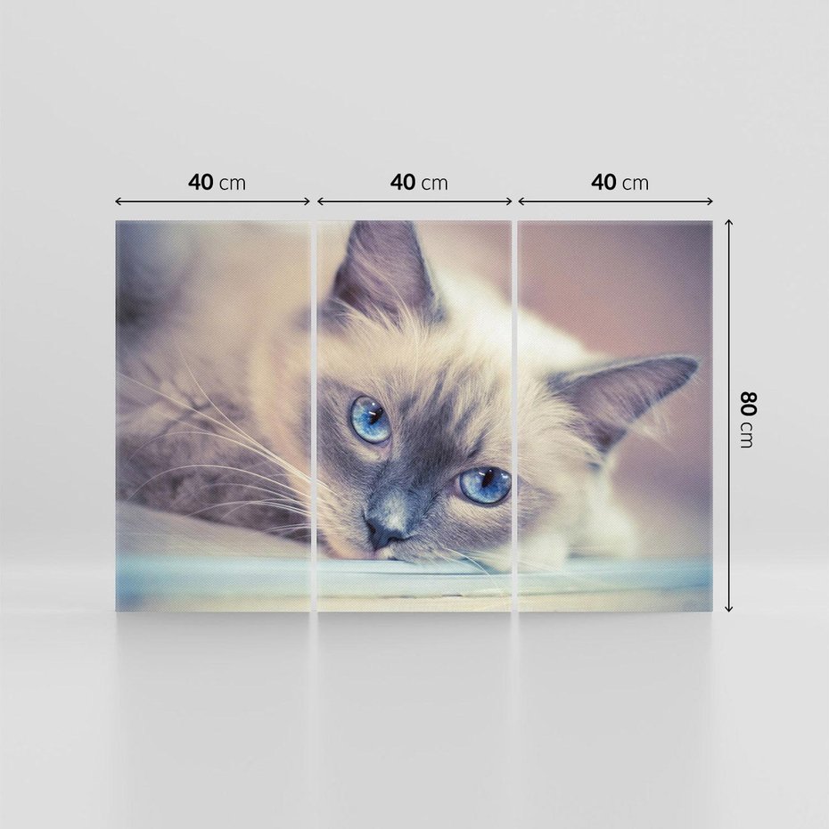 Obraz na płótnie 120x80 - Kotek w artystycznym stylu - kot, kotek