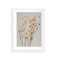 Plakat w ramie 30x40 - Delikatne gipsówki - gipsówka, suche - rama biała