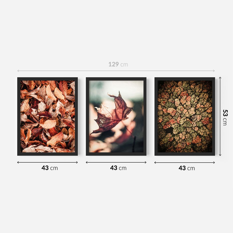 Zestaw obrazy w ramie 40x50 galeria - Jesienny, las, liście - rama czarna