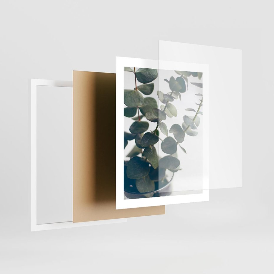 Plakat w ramie 40x50 - ukaliptusowa Harmonia - liście eukaliptusa - rama biała