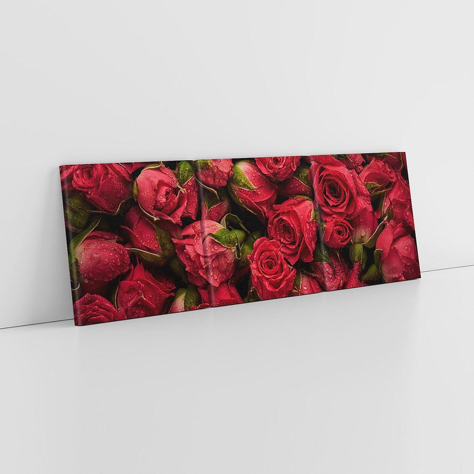 Obraz na płótnie 150x50 - Piękno róż: delikatność natury - róże, kwiaty