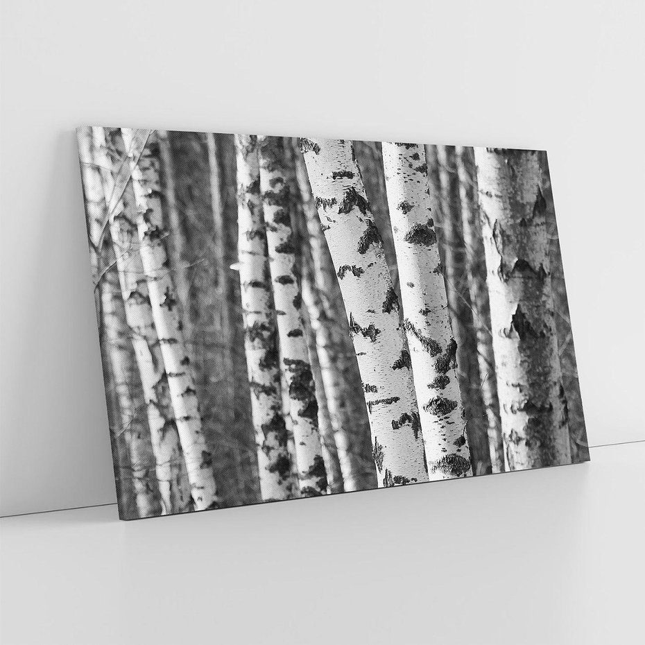 Obraz na płótnie 120x80 - Kontrast Monochromatyczny - brzozy, czarno