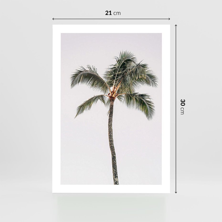 Plakat bez ramy 21x30 - Wakacyjne Marzenia - palma na tle nieba