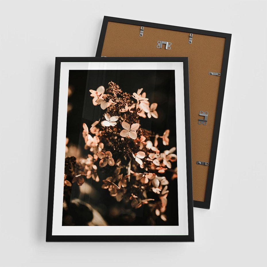 Plakat w ramie 50x70 - Hortensja - Suchy Kwiat w Sztuce - hortensja, suchy kwiat - rama czarna