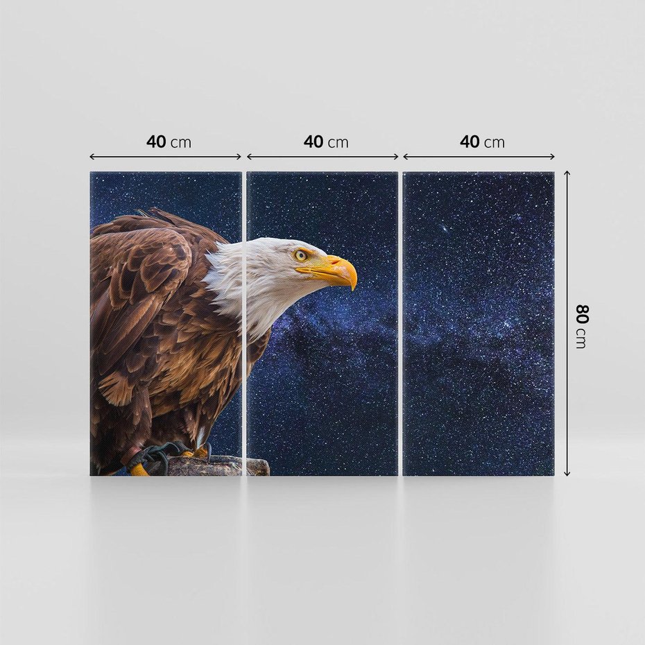 Obraz na płótnie 120x80 - Orzeł w niebieskiej przestrzeni - orzeł, ptak