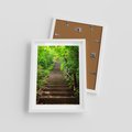 Plakat w ramie 30x40 - Lasowa ścieżka pełna tajemnic - ścieżka, schody - rama biała