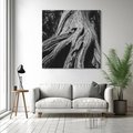 Obraz na płótnie 60x60 - Siła Natury - czarno biała fotografia, korzenie wielkiego drzewa
