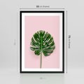 Plakat w ramie 50x70 - Egzotyczna Roślinność - liście, monstera - rama czarna
