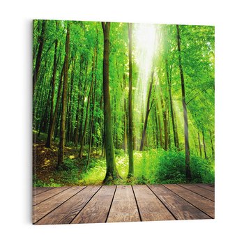 Obraz na płótnie 40x40 - Spacer po urokliwej dróżce w lesie - las, dróżka