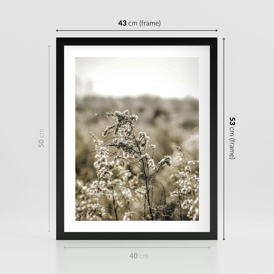 Plakat w ramie 40x50 - Pampas i Bocho - suche trawy, bocho - rama czarna