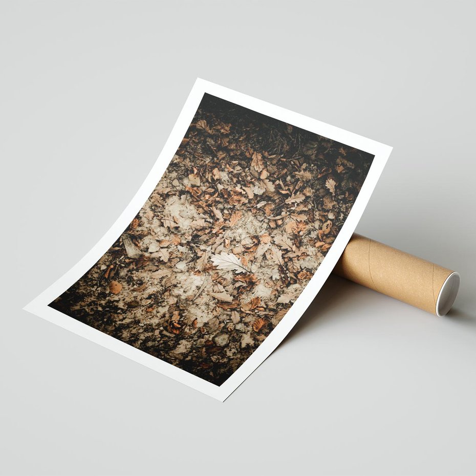 Plakat bez ramy 50x70 - Suchość Liści w Brązowych Tonach - suche liście jesień brąz