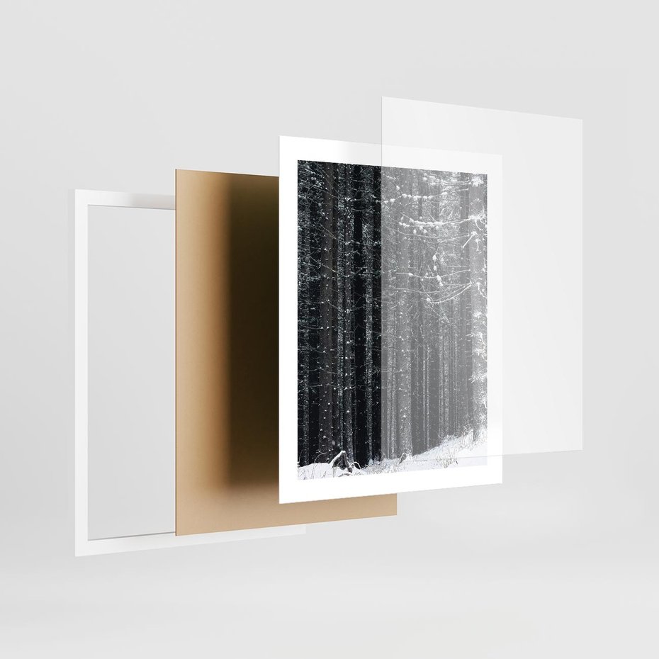 Plakat w ramie 40x50 - Leśna Cisza: Malowniczy Pejzaż Zimą - las zimą, ośnieżone pnie drzew - rama biała