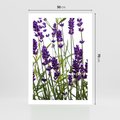 Plakat bez ramy 50x70 - Fioletowa harmonia lawendy - lawenda, fiolet