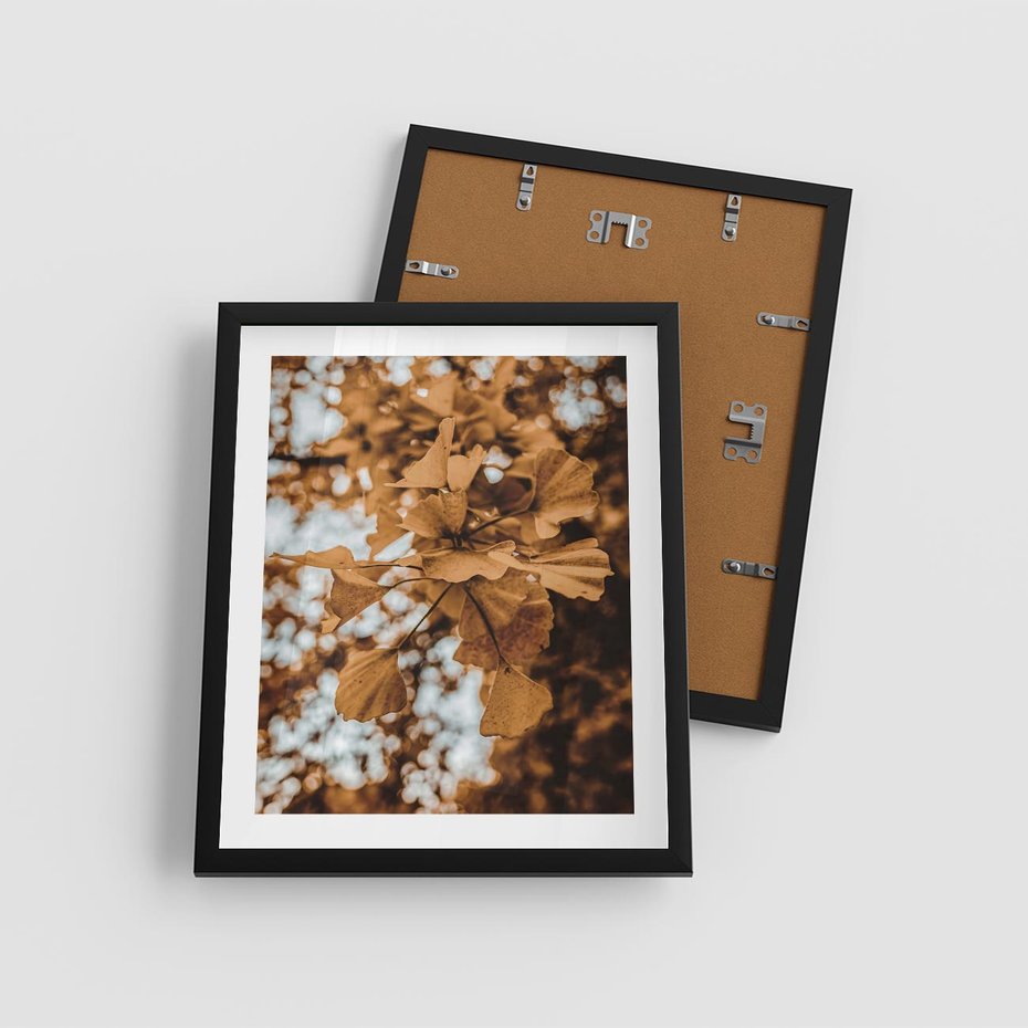 Plakat w ramie 40x50 - Nostalgiczny Miłorząb - miłorząb, liście - rama czarna