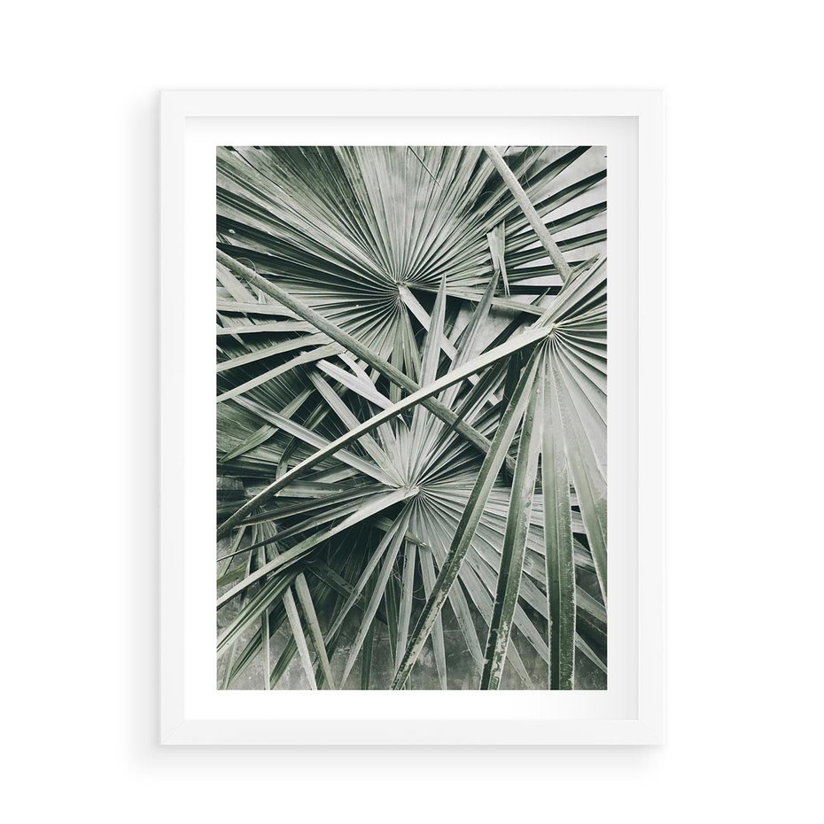 Plakat w ramie 50x70 - Palmy w Zgaszonej Zieleni - palmy, tropikalne liście - rama biała