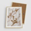 Plakat w ramie 50x70 - Kwiatowa suchość - kwiaty, susz - rama drewno