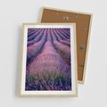 Plakat w ramie 50x70 - Pole Lawendy w Pełnej Krasie - pole lawendy, kompozycja - rama drewno