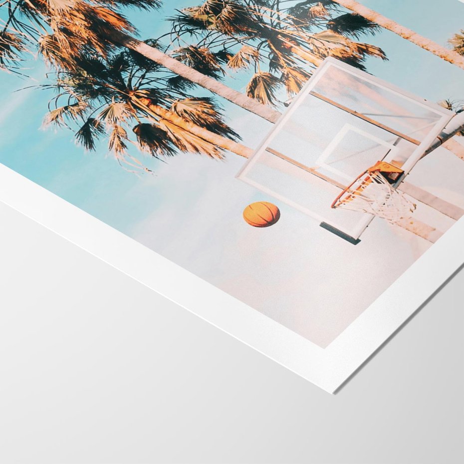 Plakat bez ramy 50x70 - Egzotyczna Koszykówka - palmy na tle nieba, koszykówka