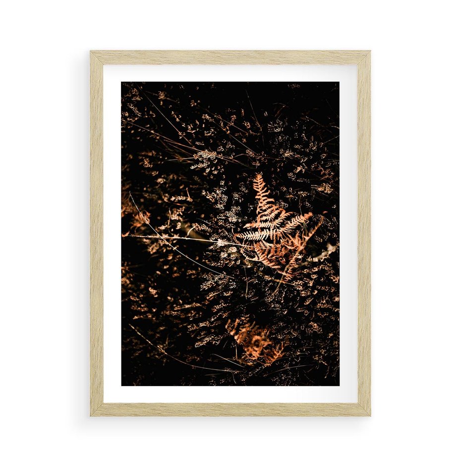Plakat w ramie 50x70 - Jesienna Melodia - suche trawy, paprocie - rama drewno