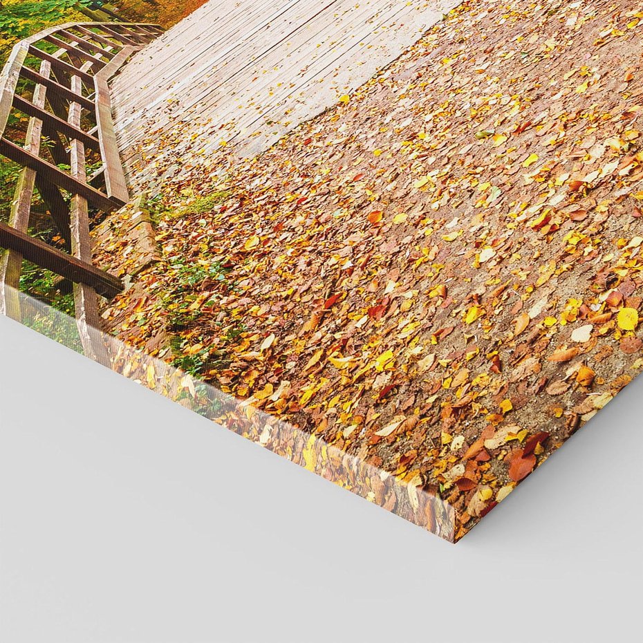 Obraz na płótnie 80x120 - Spacer Ścieżką w Las - ścieżka, spacer