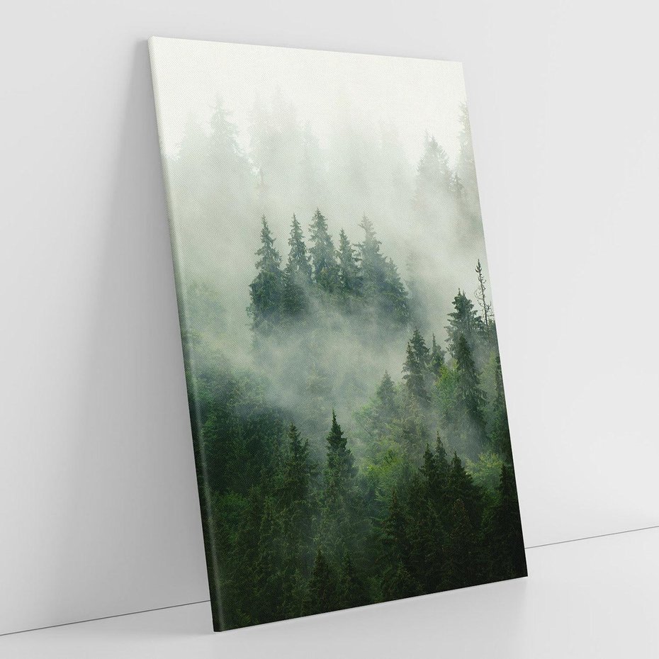 Obraz na płótnie 70x100 - Las Mgły - Las, we