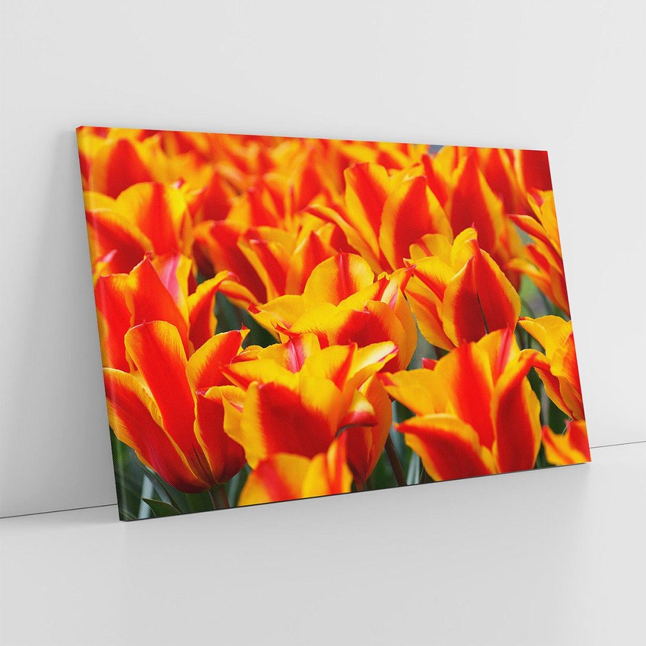 Obraz na płótnie 100x70 - Kwiatowa natura - kwiat, kwiaty