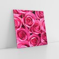 Obraz na płótnie 70x70 - Romantyczne róże w pełnym rozkwicie - róże, kwiaty