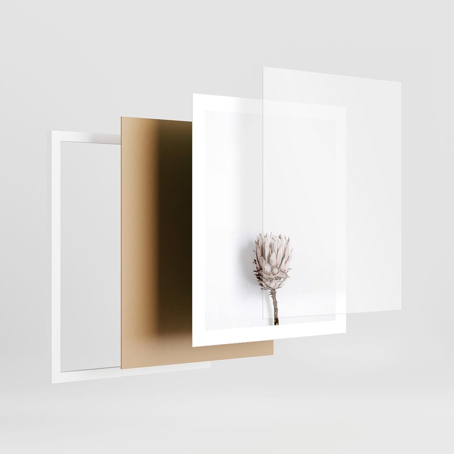 Plakat w ramie 40x50 - Suszona Roślina na Białym Tle - minimalizm, suszona roślina - rama biała