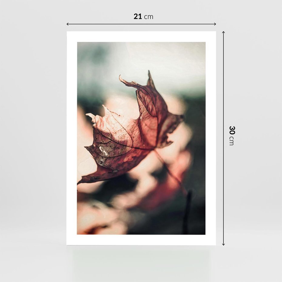 Plakat bez ramy 21x30 - Liść w Jesieni - jesienny liść, czerwony
